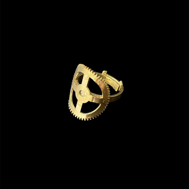 Gear Ring model 6