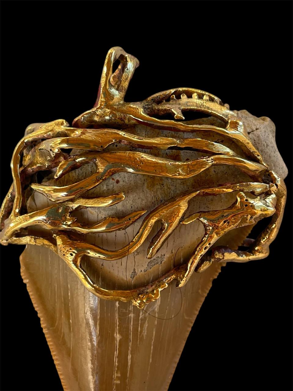 Megalodone Shark tooth bronce pendant roots design - Image 6