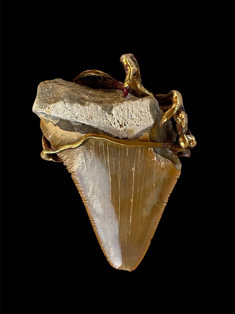 Megalodone Shark tooth bronce pendant roots design - Image 5
