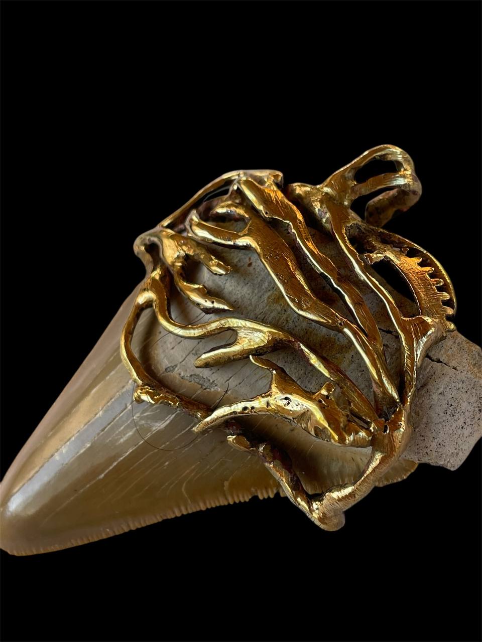 Megalodone Shark tooth bronce pendant roots design - Image 4