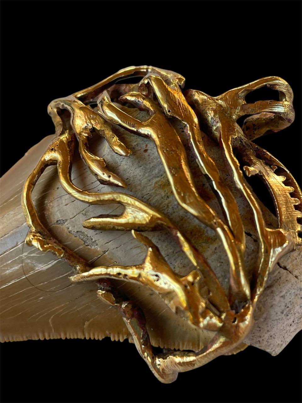 Megalodone Shark tooth bronce pendant roots design - Image 3