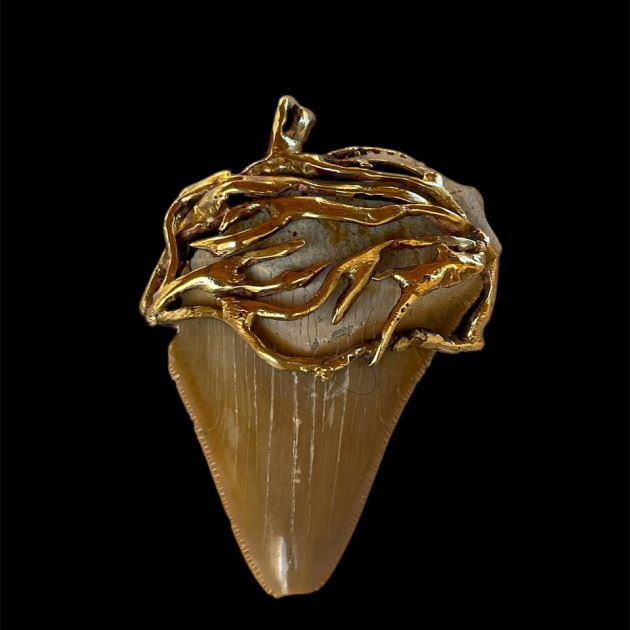 Megalodone Shark tooth bronce pendant roots design