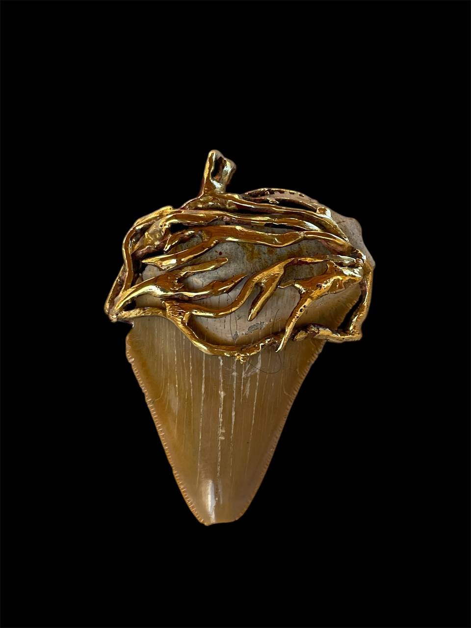 Megalodone Shark tooth bronce pendant roots design