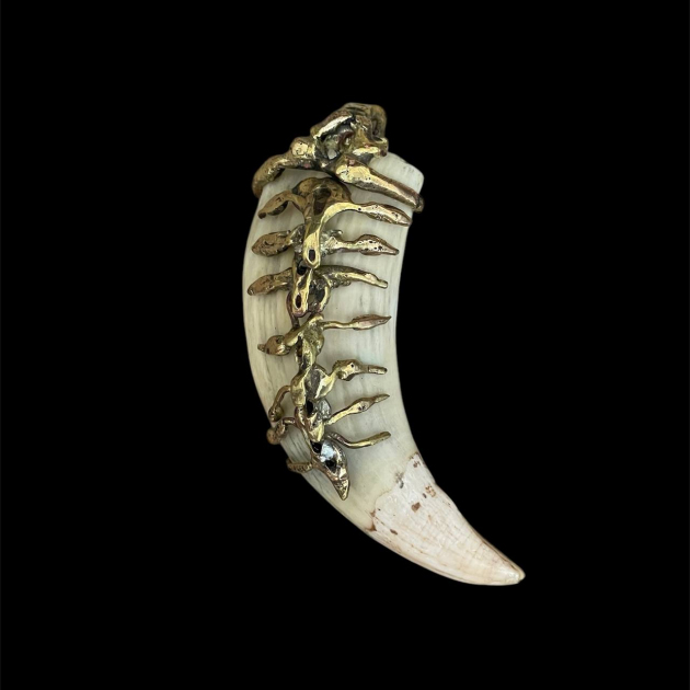 Sea lion tooth organic design