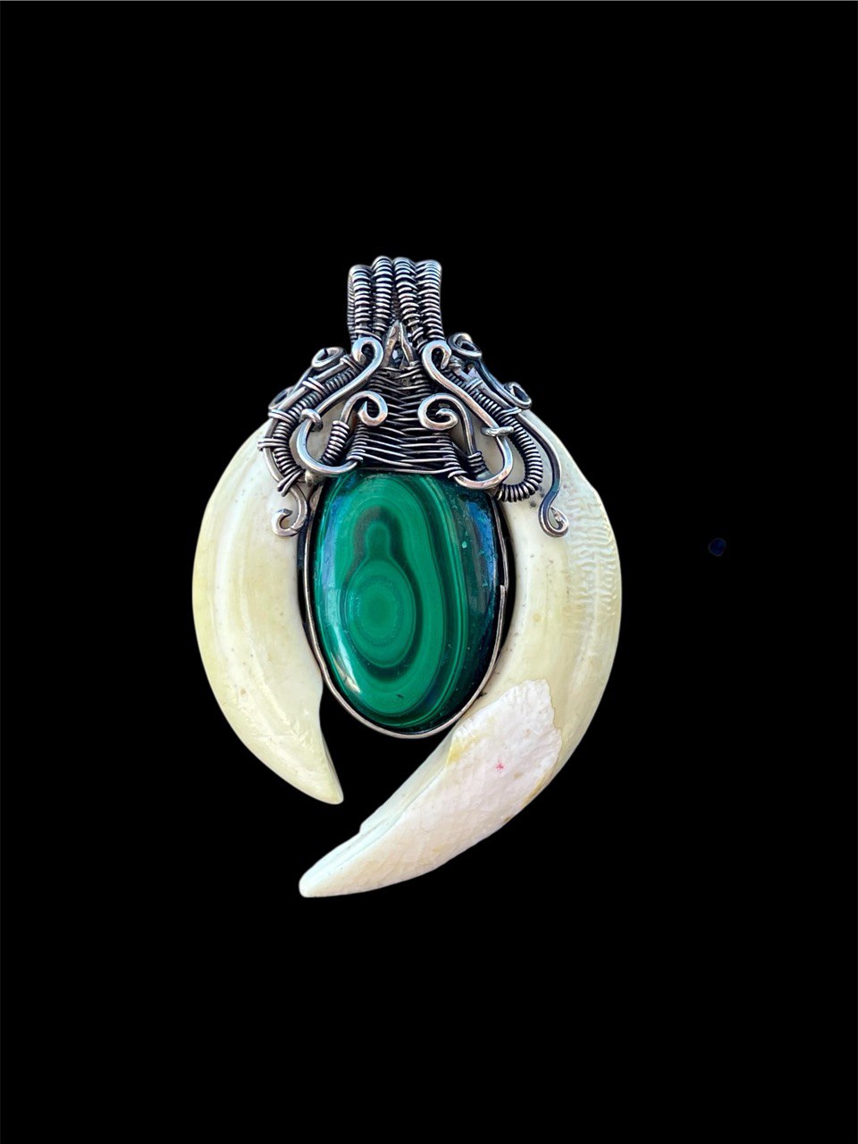 Real Wild Boar Teeth malachite Necklace
